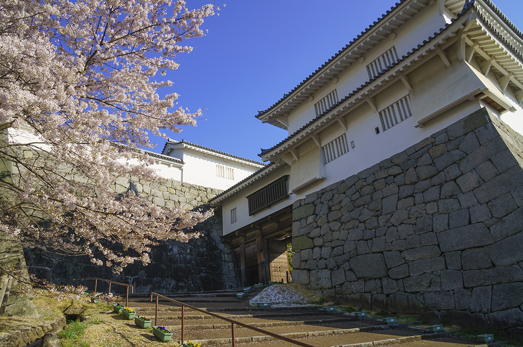 Nihonmatsujo Castle