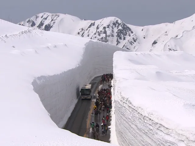 snow wall toyama
