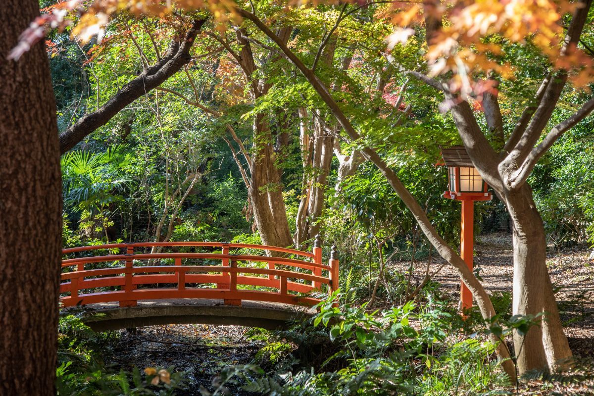 Todoroki Keikoku Valley