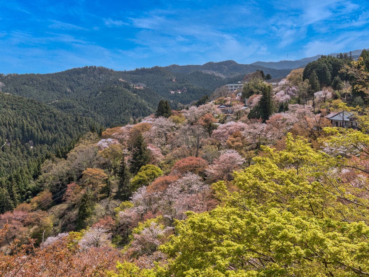 Mt. Yoshino