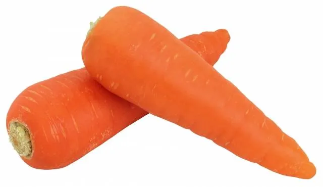 japanese vegetables