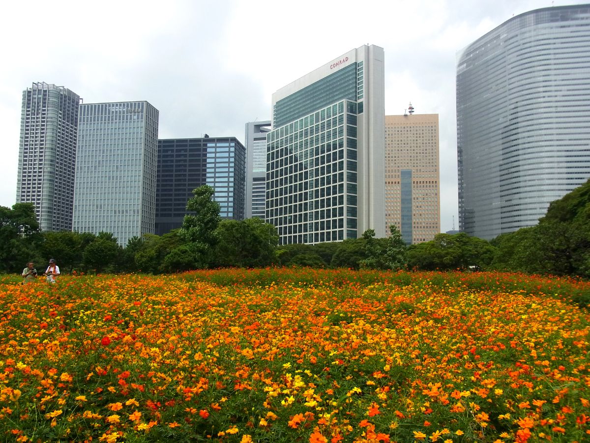 Hama Rikyu Teien Gardens-3