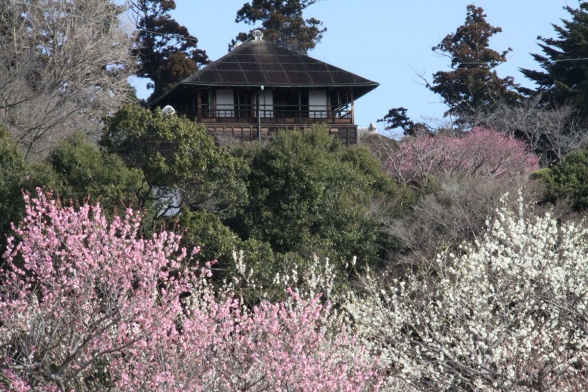 Kairakuen Garden