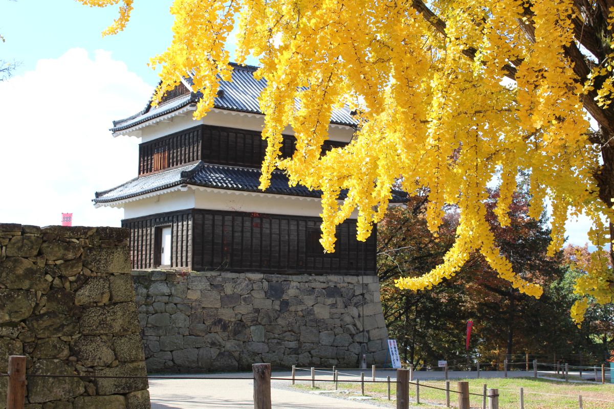 Ueda Castle Koen Park-5