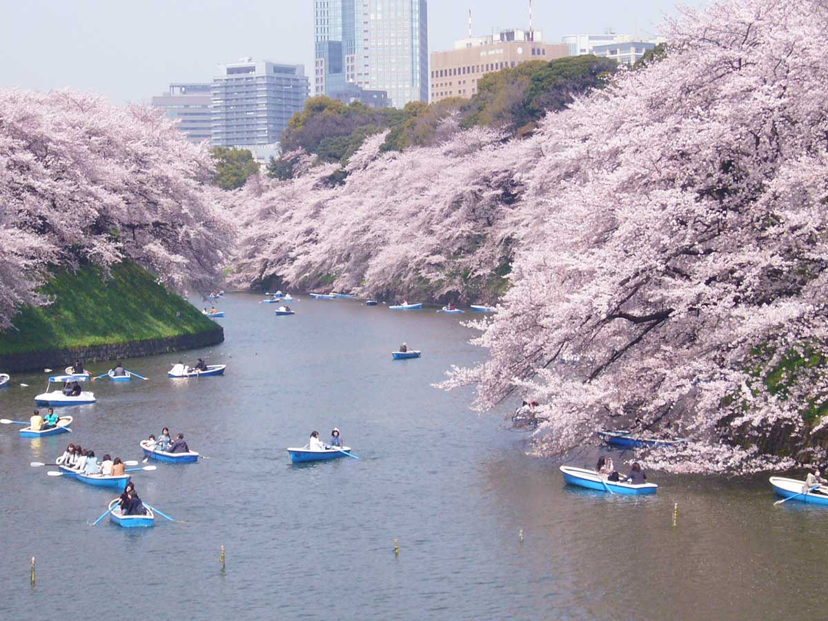 Chidorigafuchi Moat