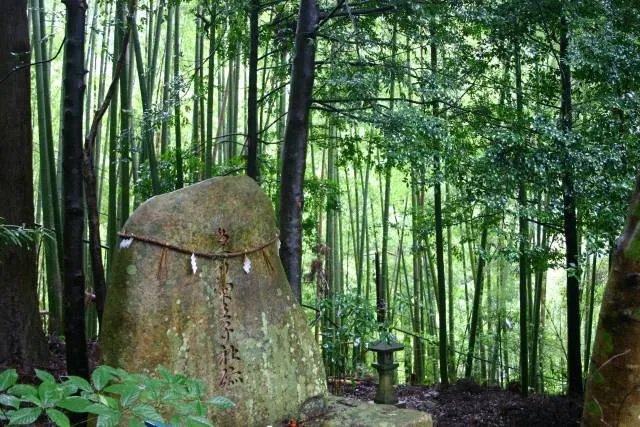 kumano kodo wakayama