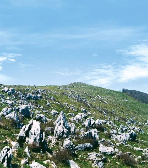 shikoku karst