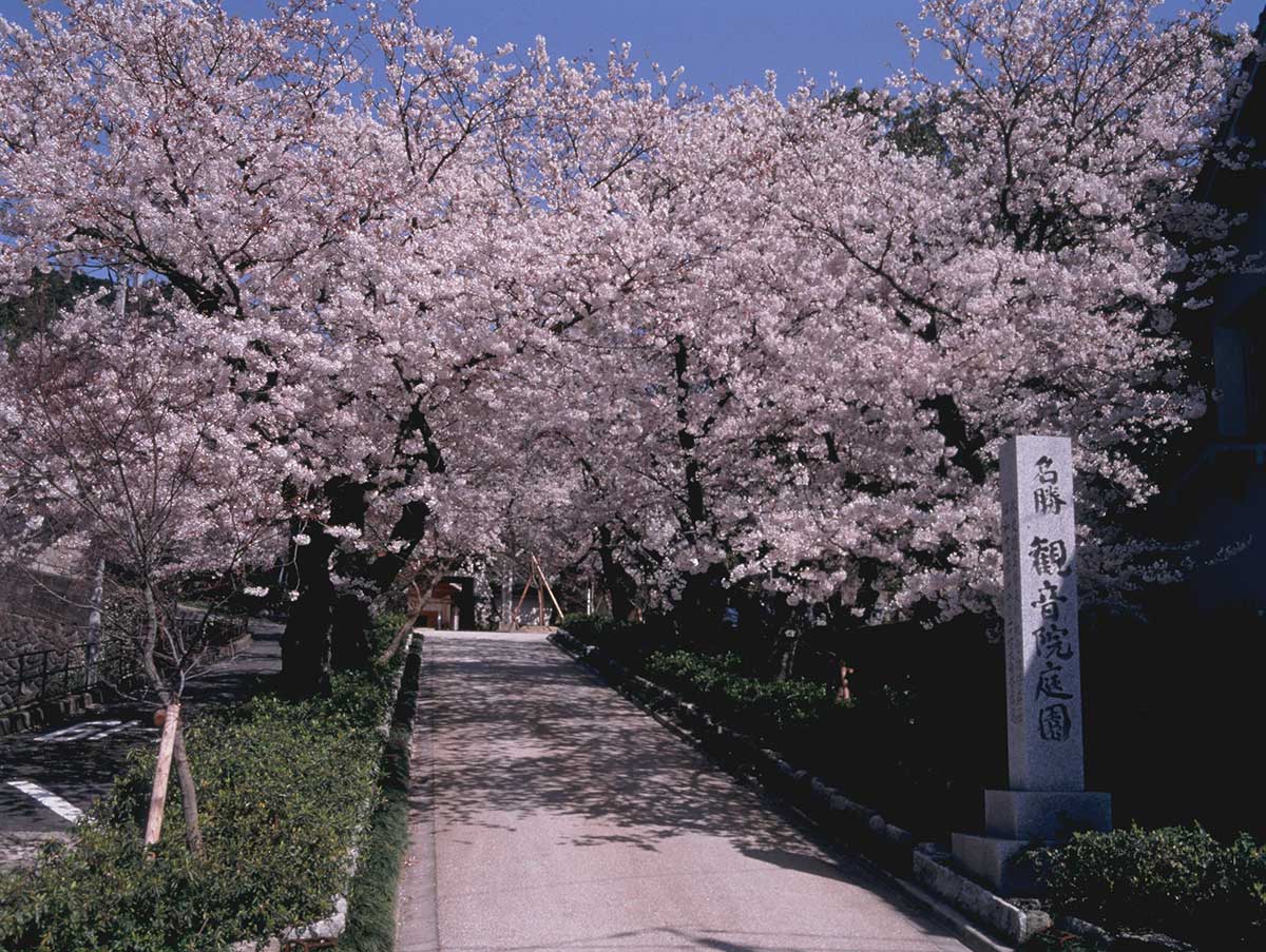 Kannon-in Temple (Tottori)