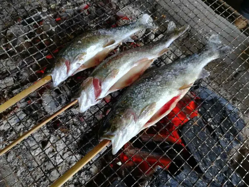 マス　塩焼き
