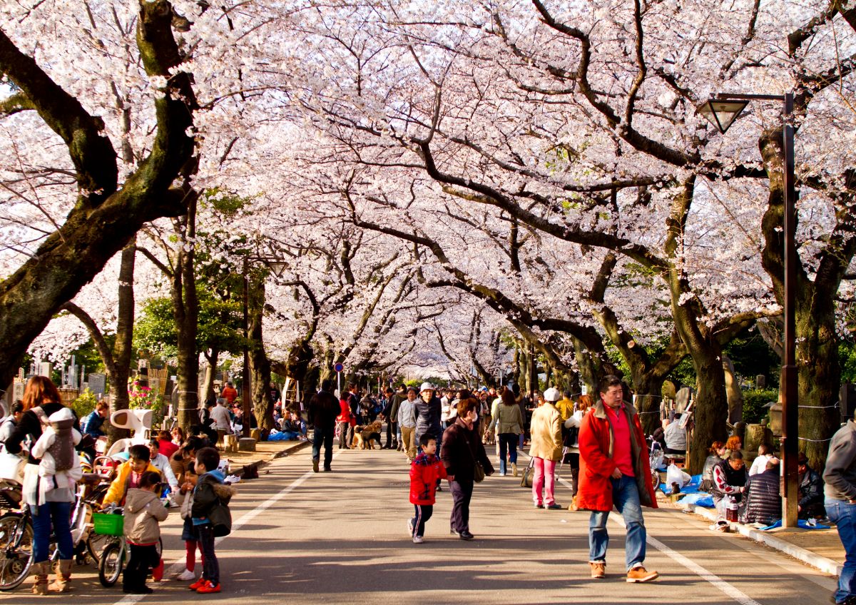 Yanaka Cemetery