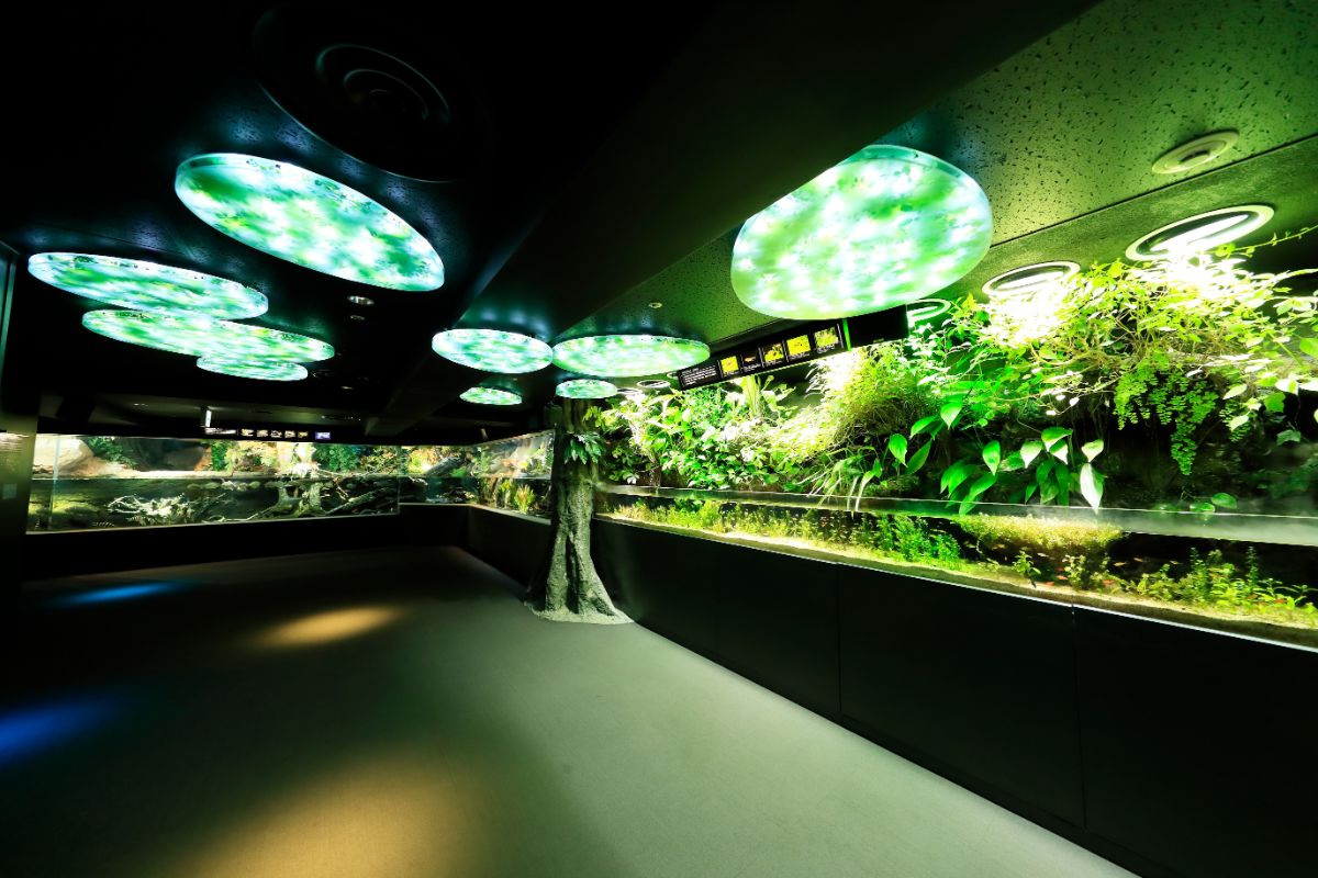 Sunshine Aquarium-10