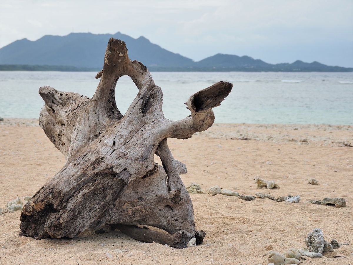 Yonehara Beach-5