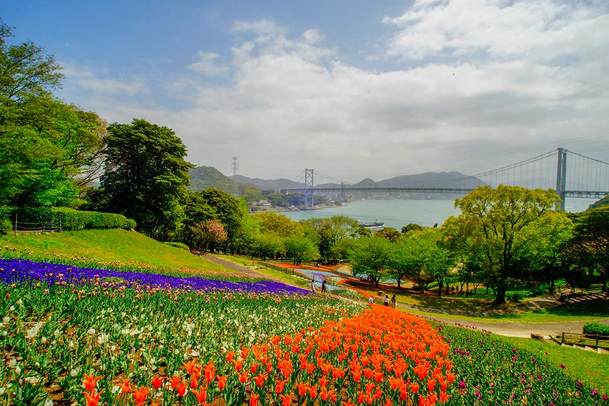 Hinoyama Koen Park Turkish Tulip Garden