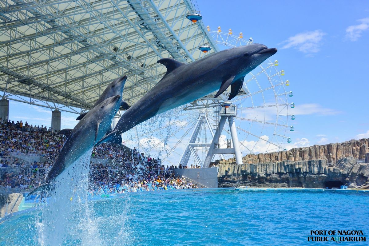 Port of Nagoya Public Aquarium