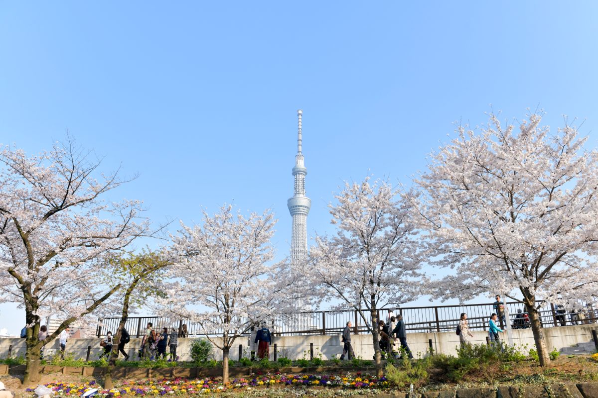 Tokyo Skytree-8