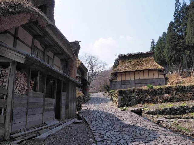 minami-echizen
