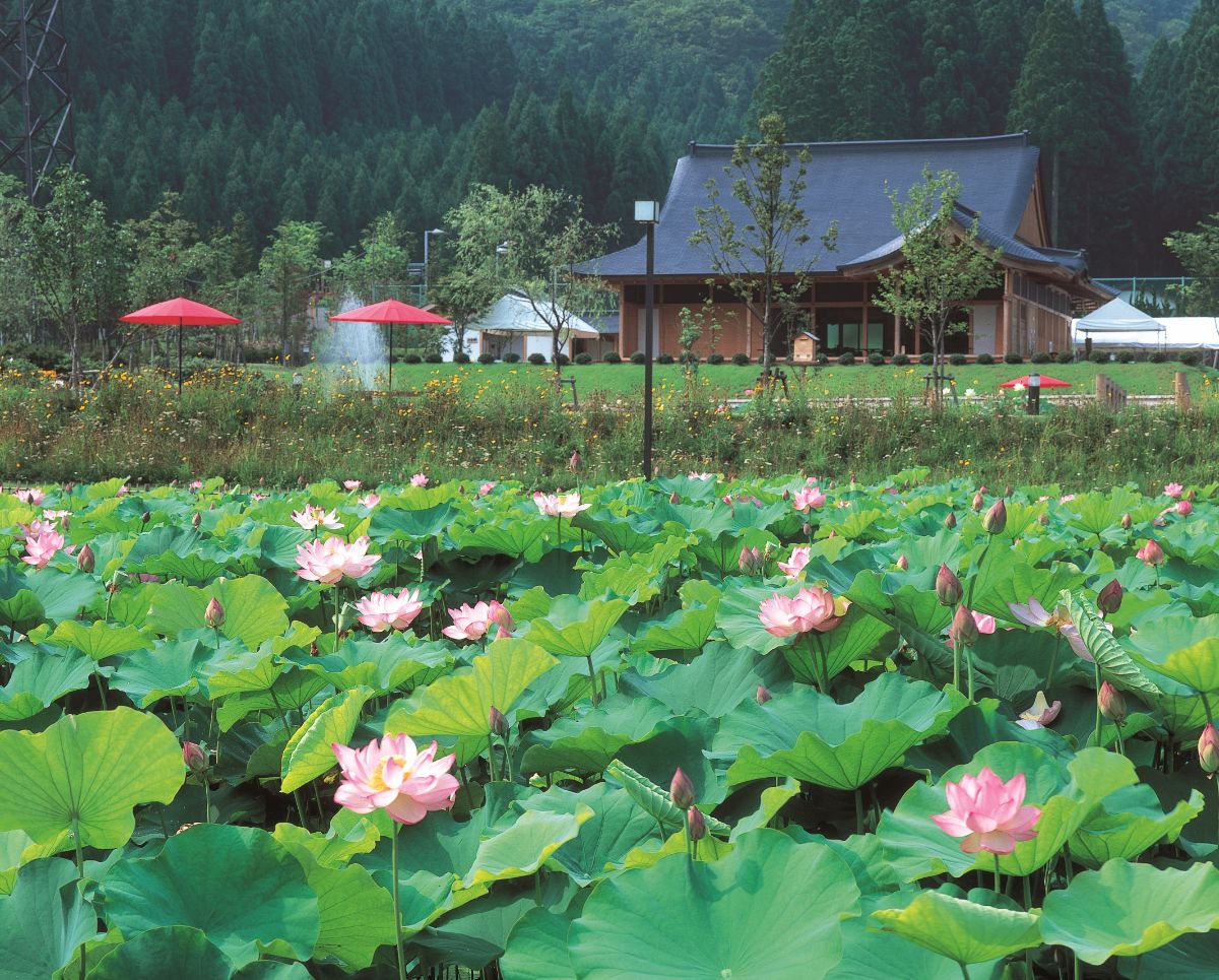 Hanahasu Koen Park