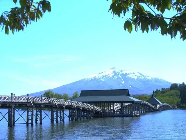 bridge2