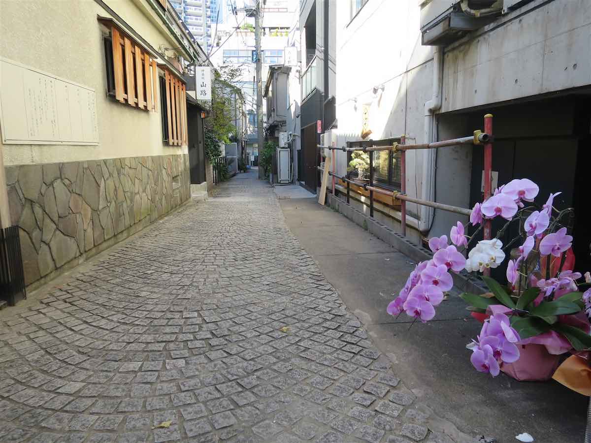 Kakurenbo Yokocho (Hide-and-seek Alley)-2