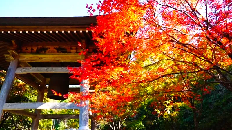 nomiyama_kannon_temple