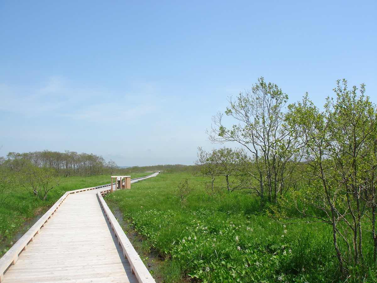 Onnenai Boardwalk (Onnenai Visitor Center)