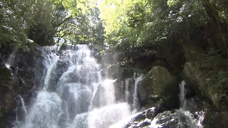 Shiraito no Taki in Itoshima
