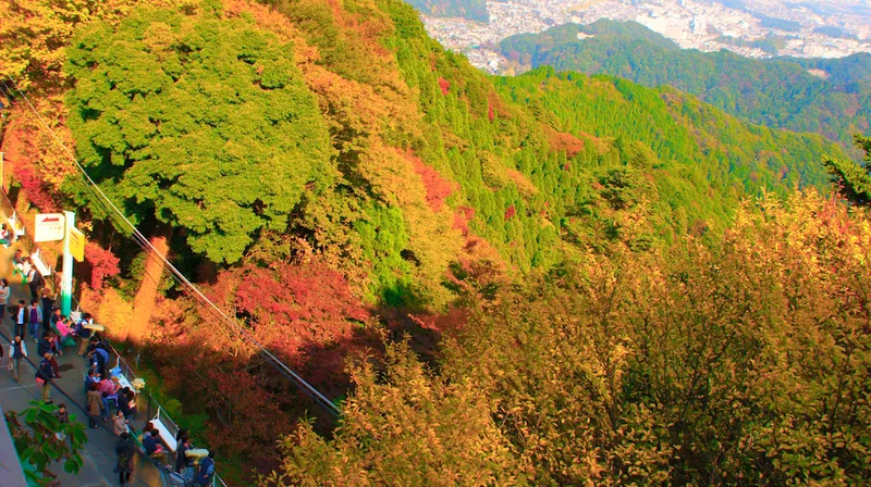 mt_takao