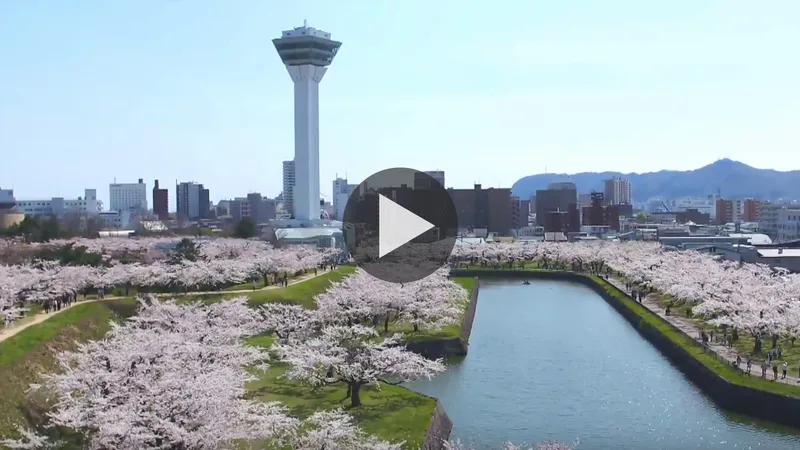 goryokaku_tower
