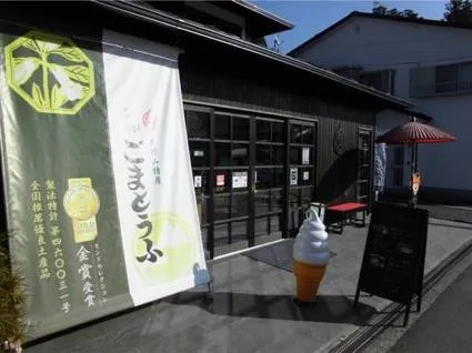 mt koyasan