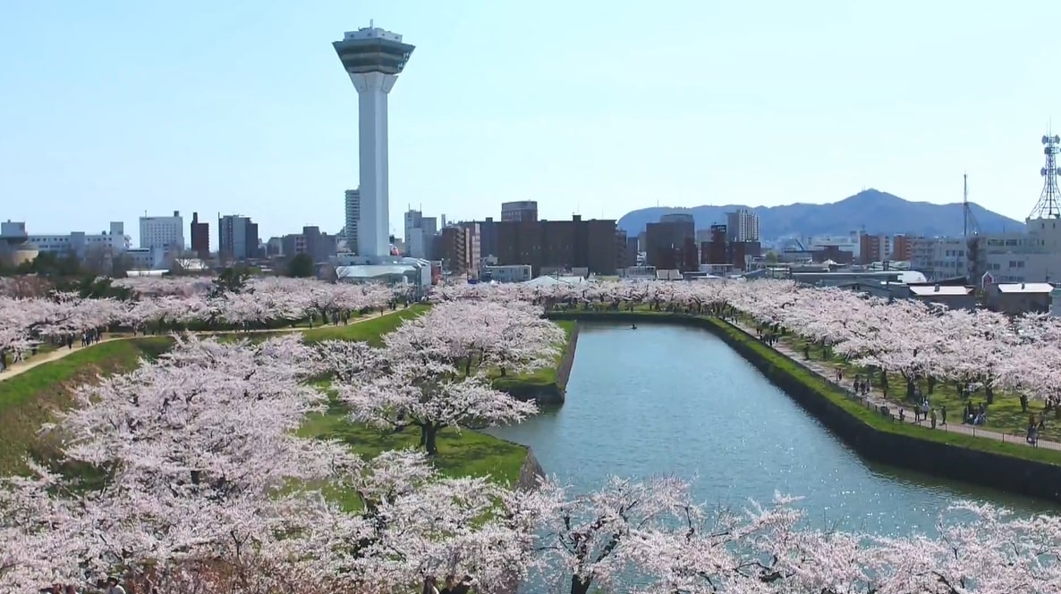 Goryokaku Tower