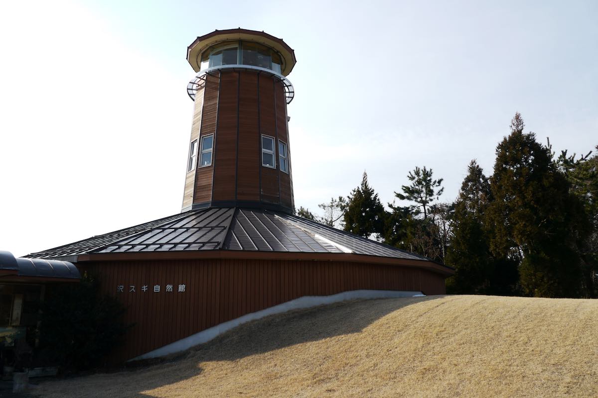 Sugisawa no Sawasugi / Sawasugi Shizenkan Nature Museum