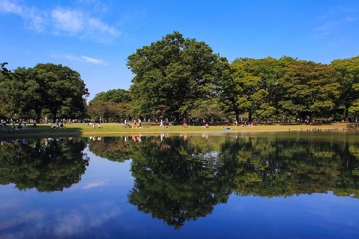 Yoyogi Koen Park