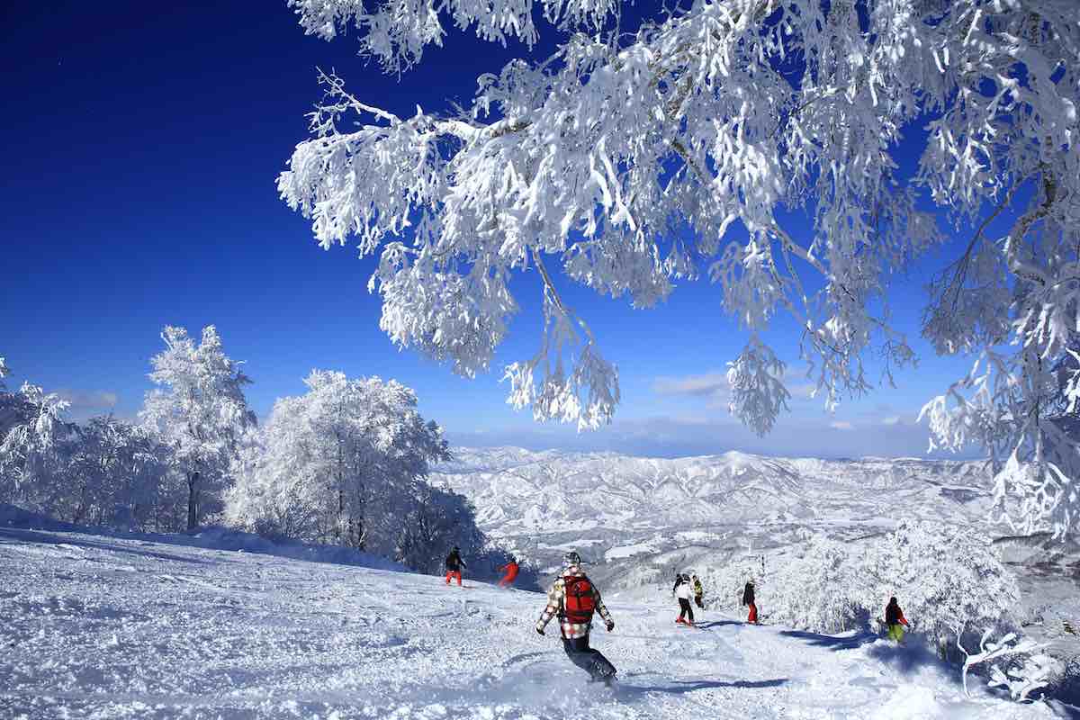 Nozawa Onsen Snow Resort