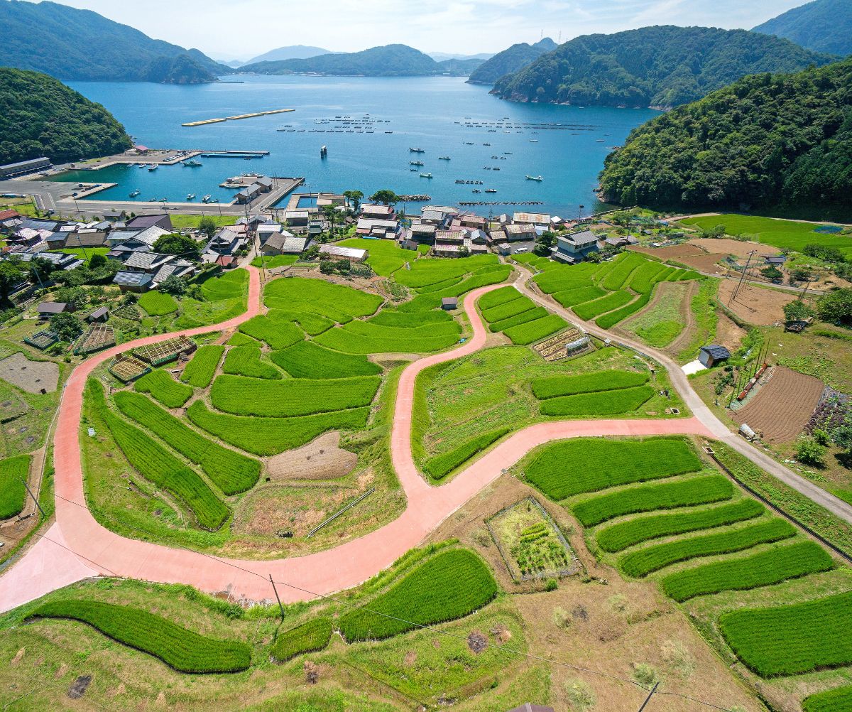 Hibiki no Tanada Terraced Rice Fields