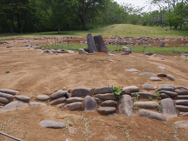 Aomori Exploring for Jomon Archeological Site Lovers