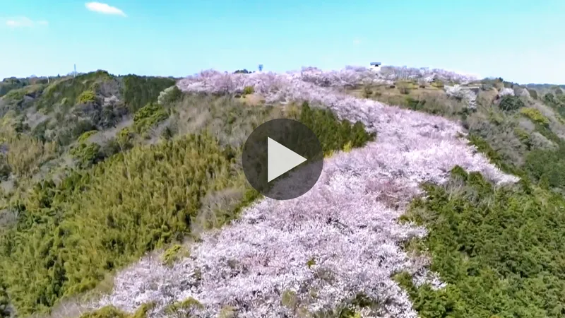 oyama_park_video