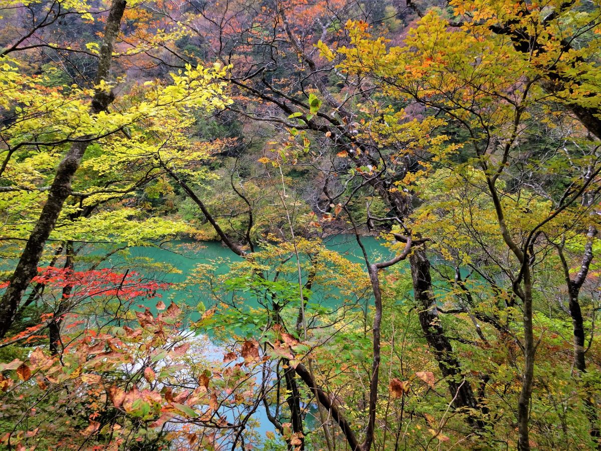 Shiobara Keikoku yuhodo