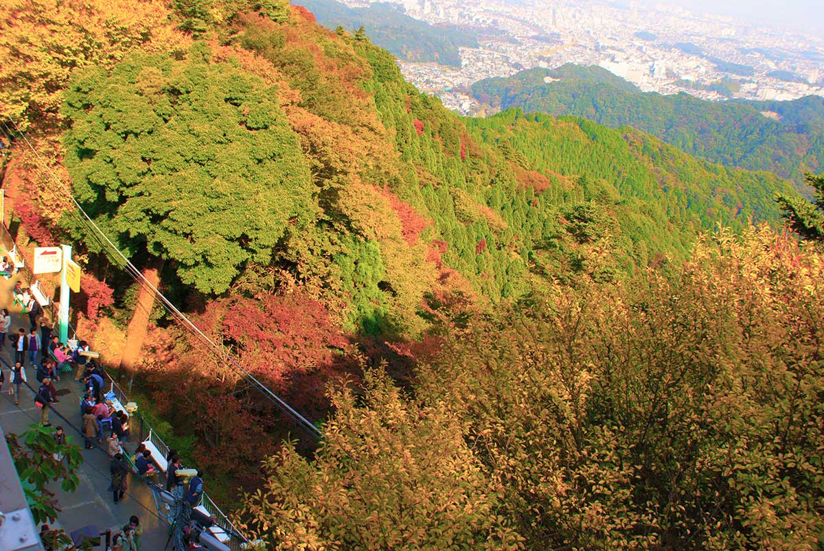 Mt. Takao