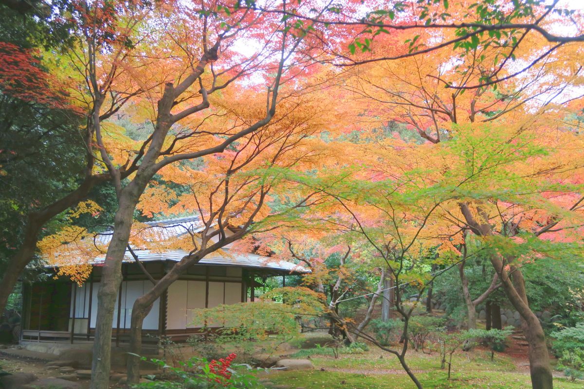 Kyu-Furukawa Gardens-4