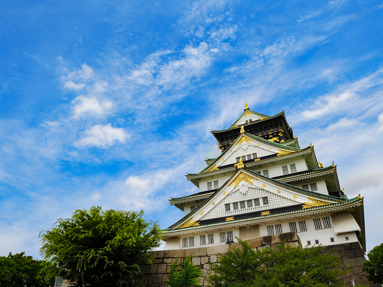 Sightseeing & eating tour for the whole family