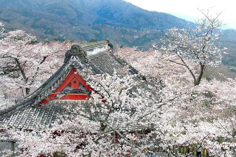 amabikisan_rakuhoji_temple