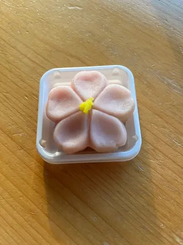 Wagashi Sweet Making Workshop