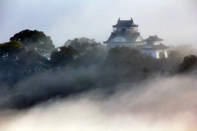 castle_fukui