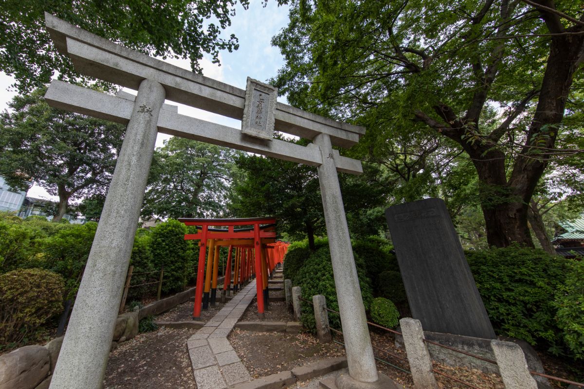 Nezu Jinja Shrine-1