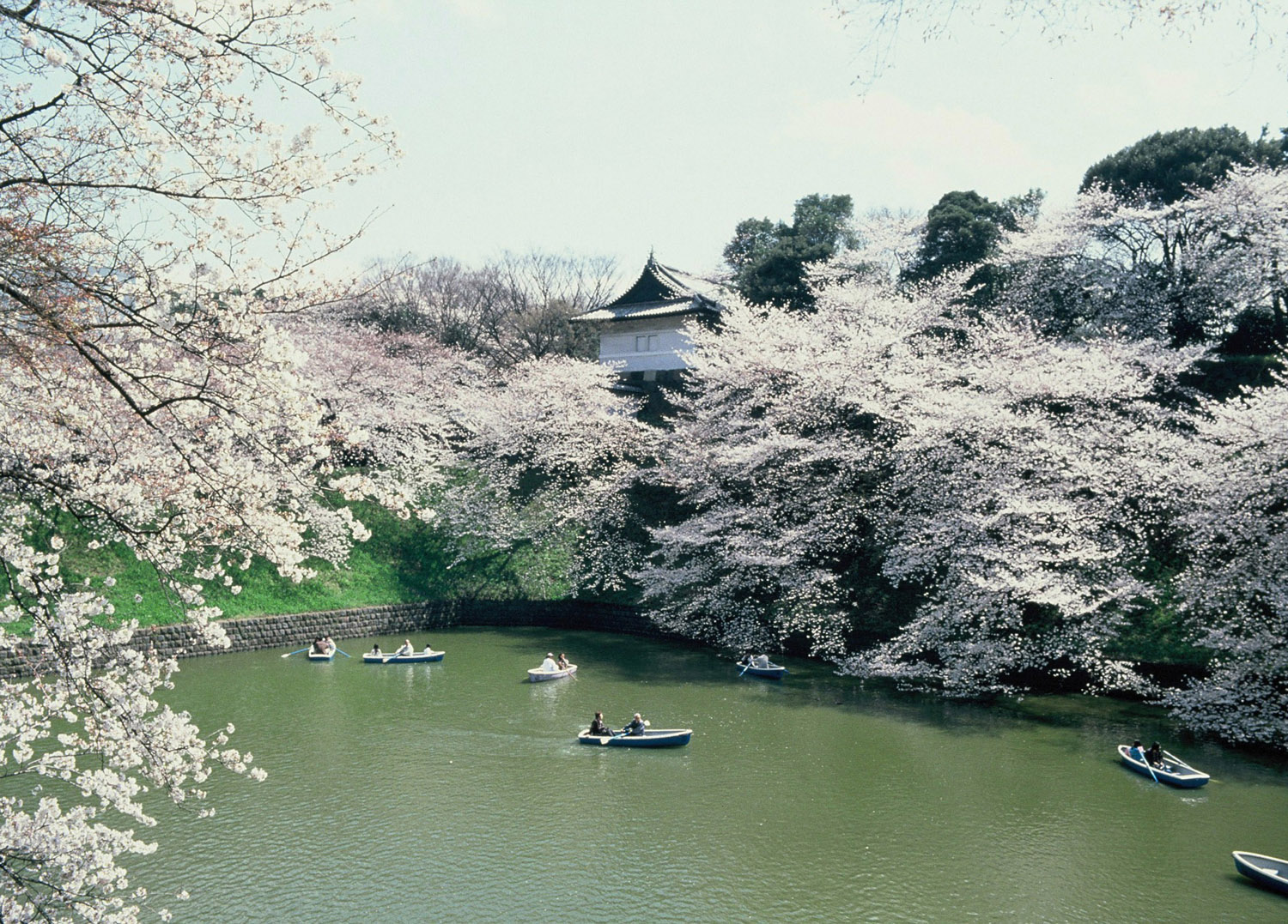 Chidorigafuchi Moat-1