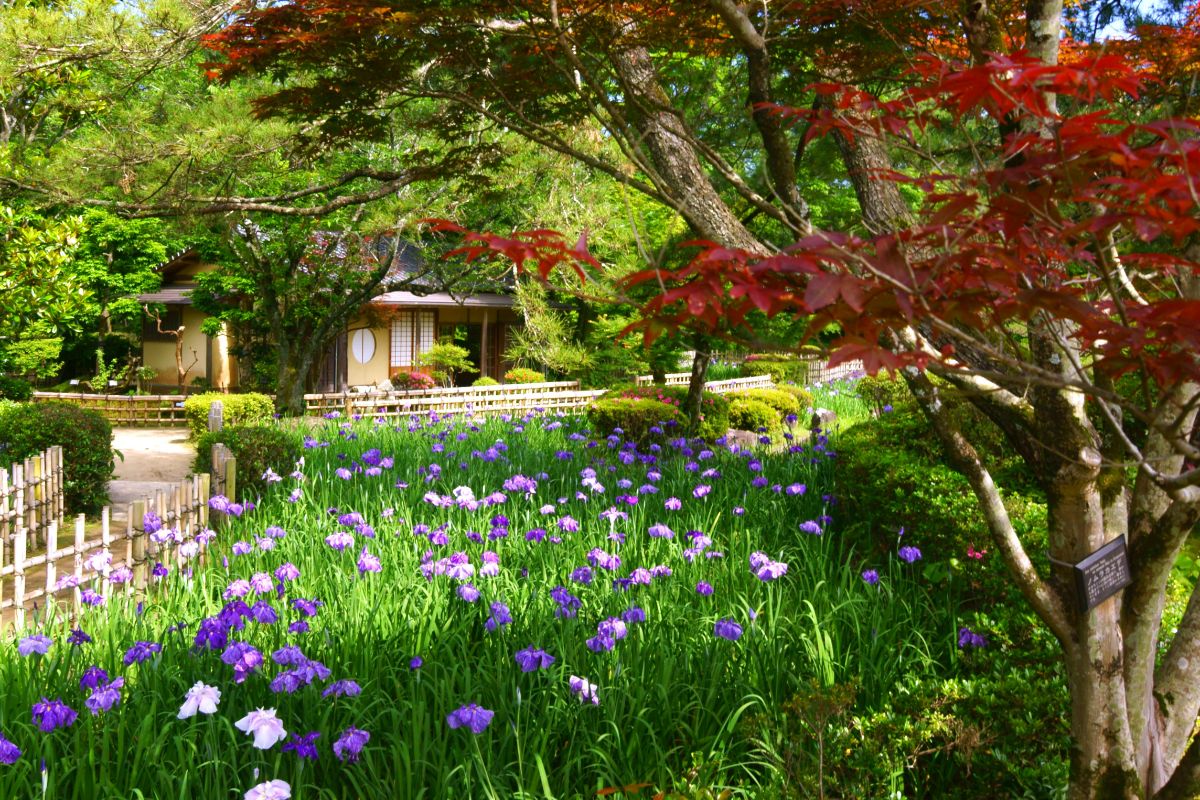 Hyuga Keishuen Garden