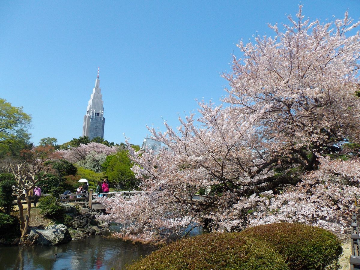 Shinjuku Gyoen National Garden