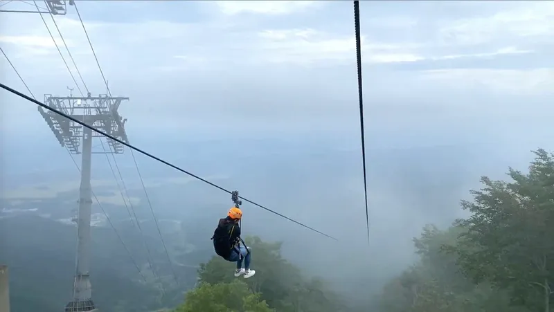 zip tour