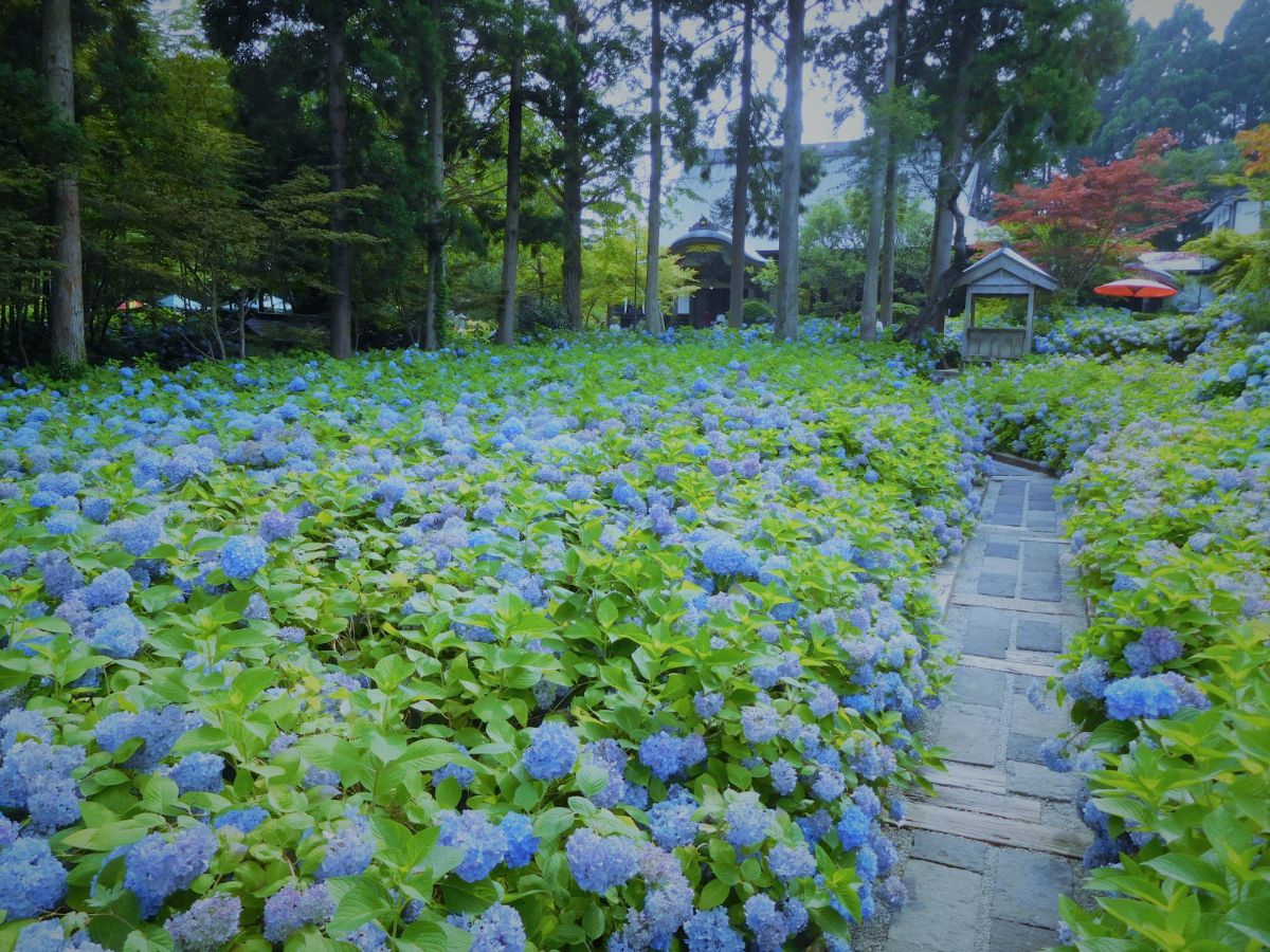 Unshoji Temple