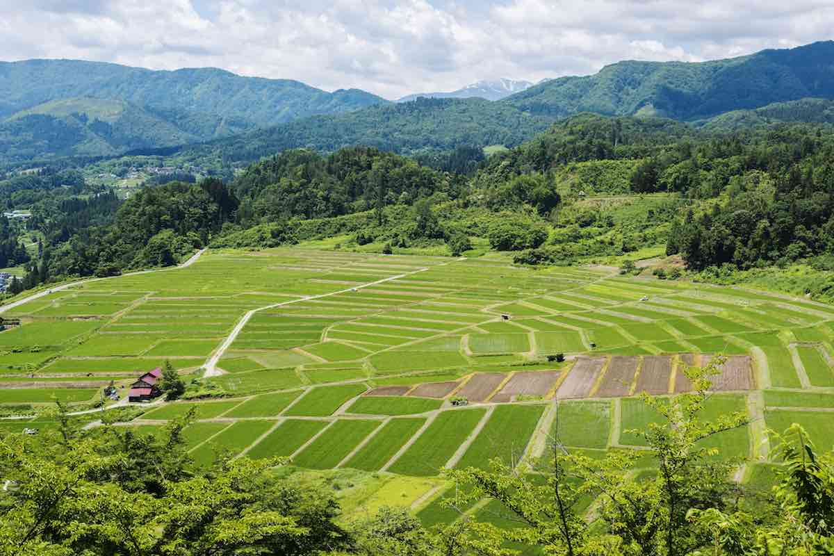 Kunugidairanotanada Terraced Paddy Field